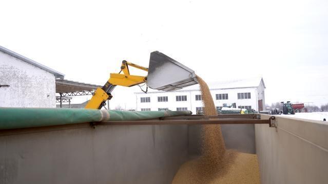Внос на зърно Украйна